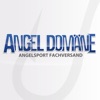 ANGEL-DOMÄNE