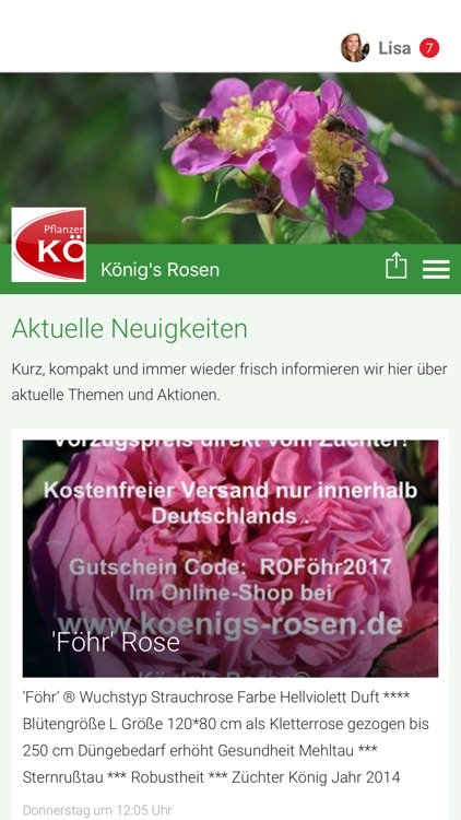 König's Rosen