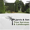 W Jarvis and Son Tree Services