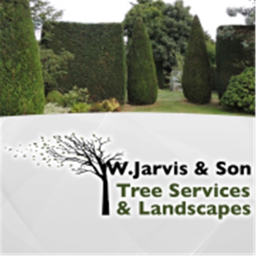W Jarvis and Son Tree Services