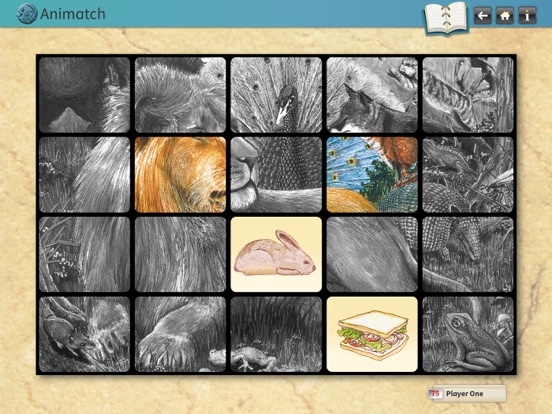 Animalia Education screenshot 4
