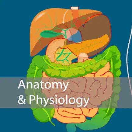 Nursing Anatomy and Physiology Читы