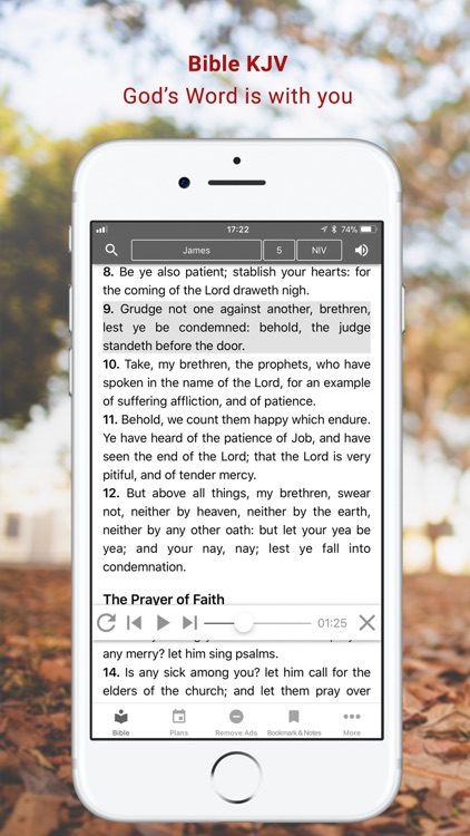 Bible KJV