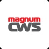 MagnumCWS - автокомплекс
