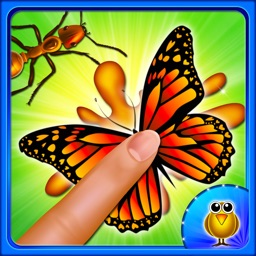 Butterfly And Bugs Bang Game