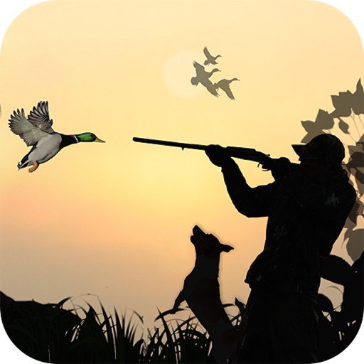 Duck Hunting Sport 3D Icon