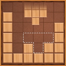 Activities of Block Puzzle Wooden Dash