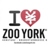 Zoo York Store Konstanz