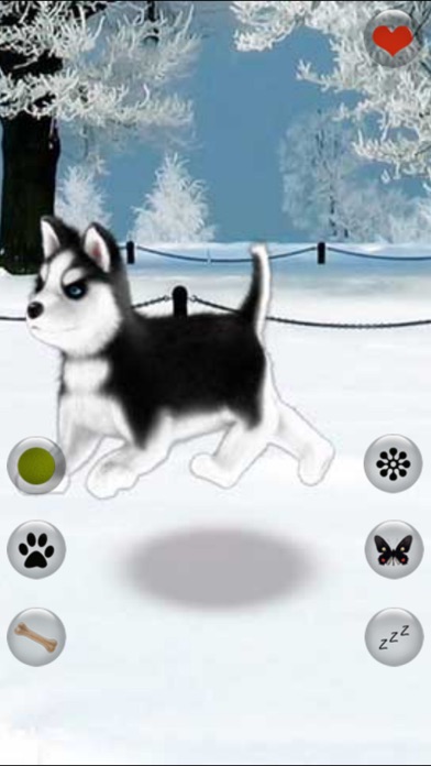 Talking Dog Virtual Pet Husky By Wei Zheng Ios United States Searchman App Data Information - husky puppy roblox