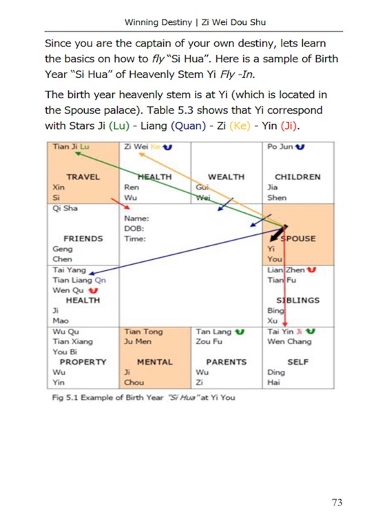 Zi Wei Dou Shu Flying Purple Star Astrology screenshot-4