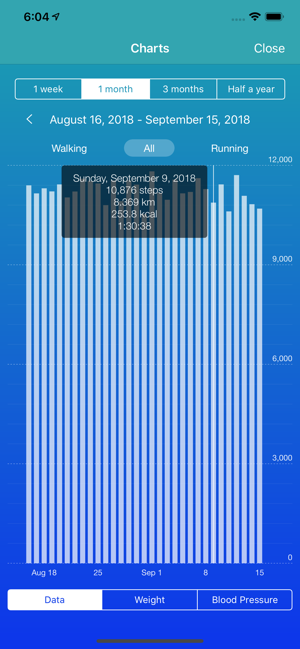 Walker - Pedometer M7 - M13(圖4)-速報App