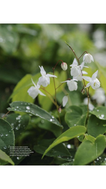 Gardens Illustrated screenshot-6