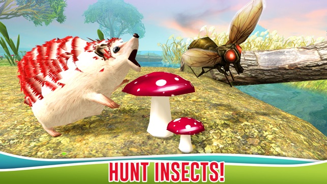 Forest Hedgehog Survival Simulator 3D(圖2)-速報App