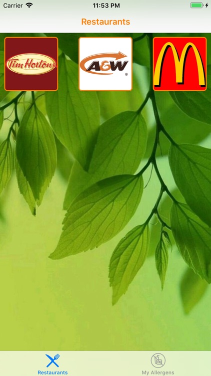 I Spy Vegan by Manish Kumar