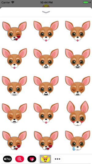Animated Tan Chihuahua(圖4)-速報App