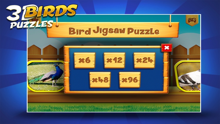 Birds Jigsaw Puzzles Game screenshot-4