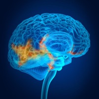 Nervous System Flashcards pour PC