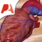 “The Most Beautiful Cardiology App on the Market”
