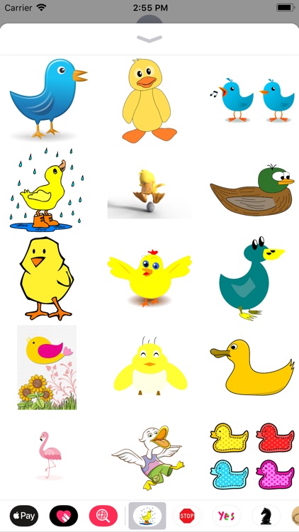 Bird Sticker Pack