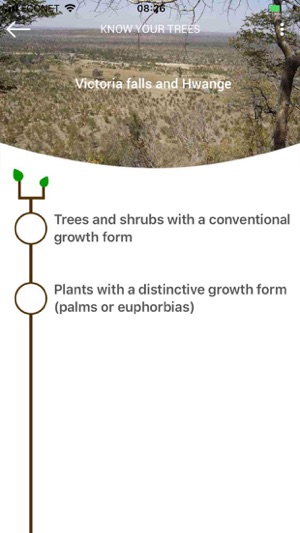 Key to Trees of South Africa(圖5)-速報App