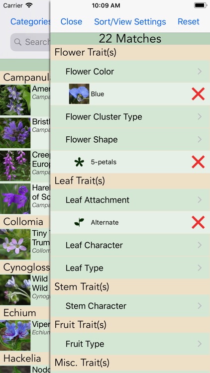 Minnesota Wildflowers Info.