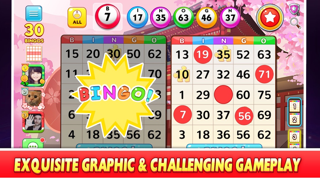 Bingo Win Online Hack Tool
