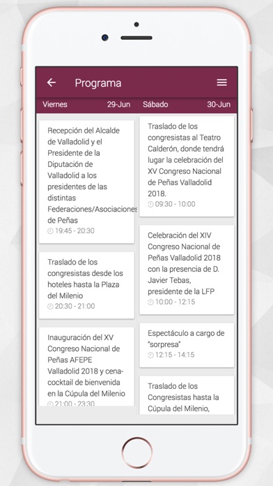 Congreso Nacional Peñas Fútbol screenshot 3