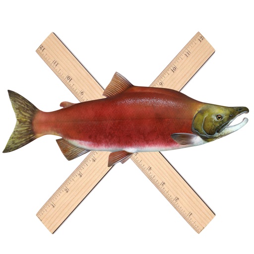 WetRuler
