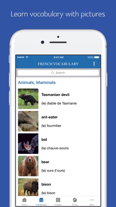 French topic vocabulary screenshot 2
