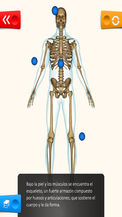 Educa Explorer Cuerpo Humano.