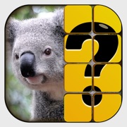 Get तस्वीर का अनुमान लगाएं for iOS, iPhone, iPad Aso Report