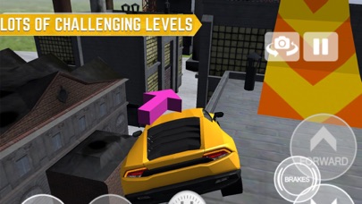 Car Rooftop Parking screenshot 2