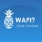 WAPI