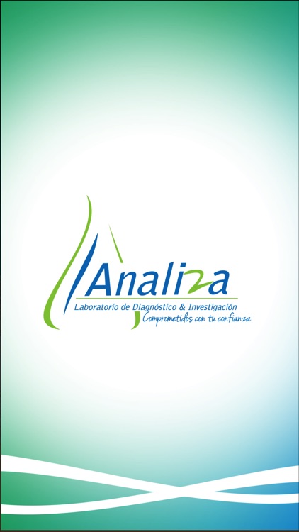 Analiza