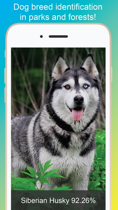 Dog Identify-Breed Identifier screenshot 3