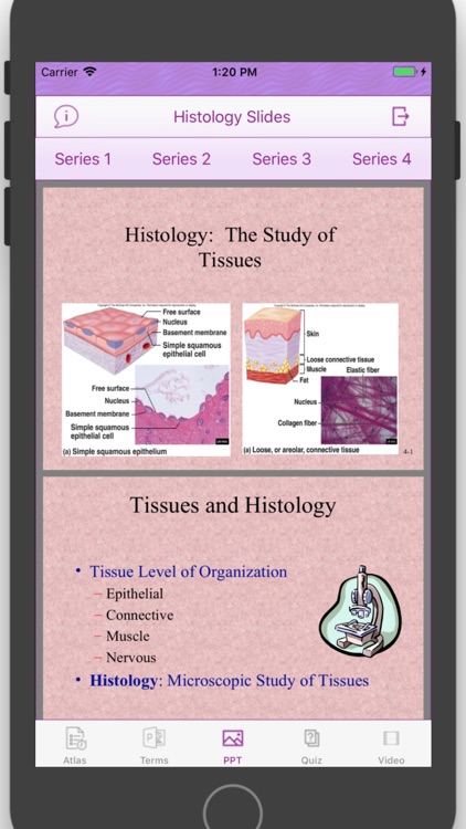Histology Cell Tissue