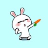 Funny Rabbit Dancing Animated