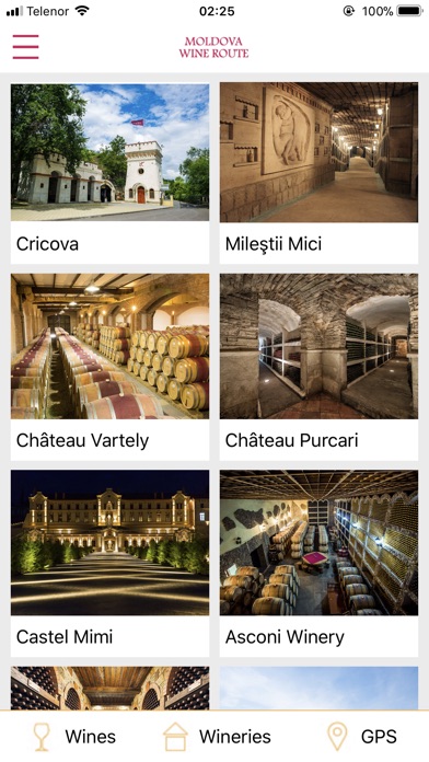 Moldova Wine Route screenshot 3