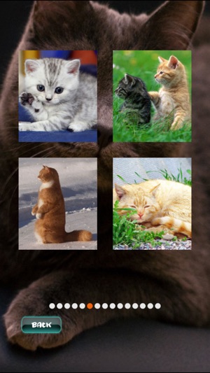 Cat Puzzles(圖2)-速報App