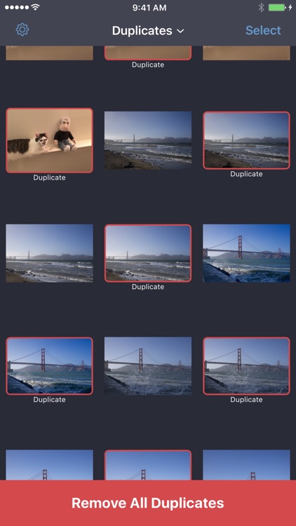 Best Photos screenshot-0