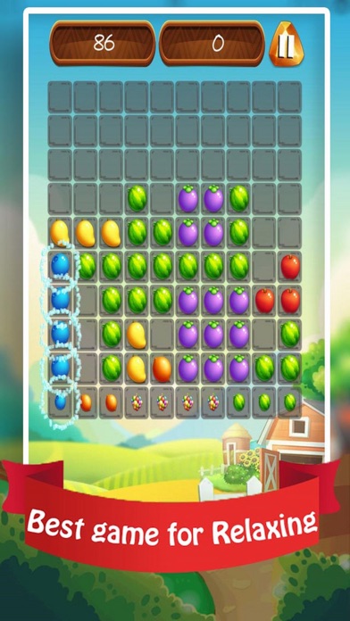 Block Fruit Puzzle 2017 screenshot 2