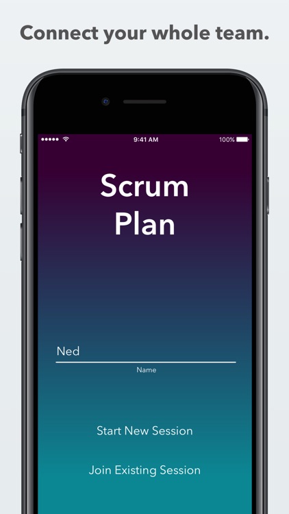 Scrum Plan