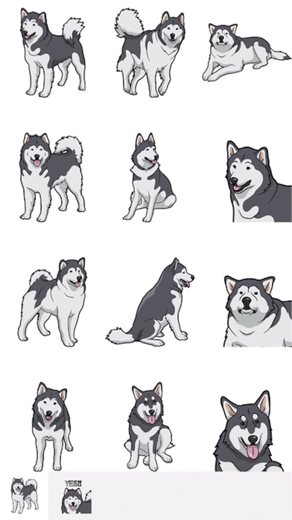 My Malmute DogMoji Stickers