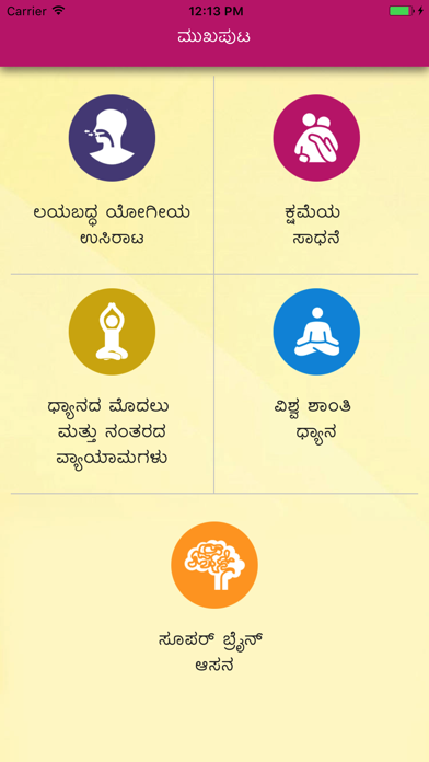 How to cancel & delete YPV Sadhana - kannada from iphone & ipad 2