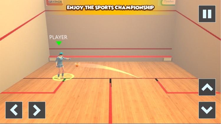 Squash 3D - Ball Sports Game