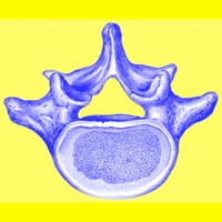 Spine: What's the data?  PC 용