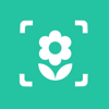 no app image