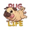 React with cute Pug Dog Stickers and Emojis Pack