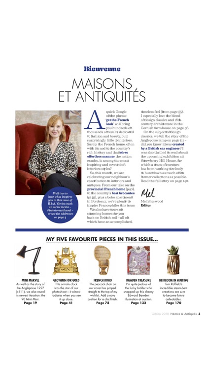 Homes & Antiques Magazine screenshot-4
