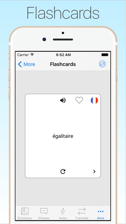 French Dictionary & Translator + screenshot-4